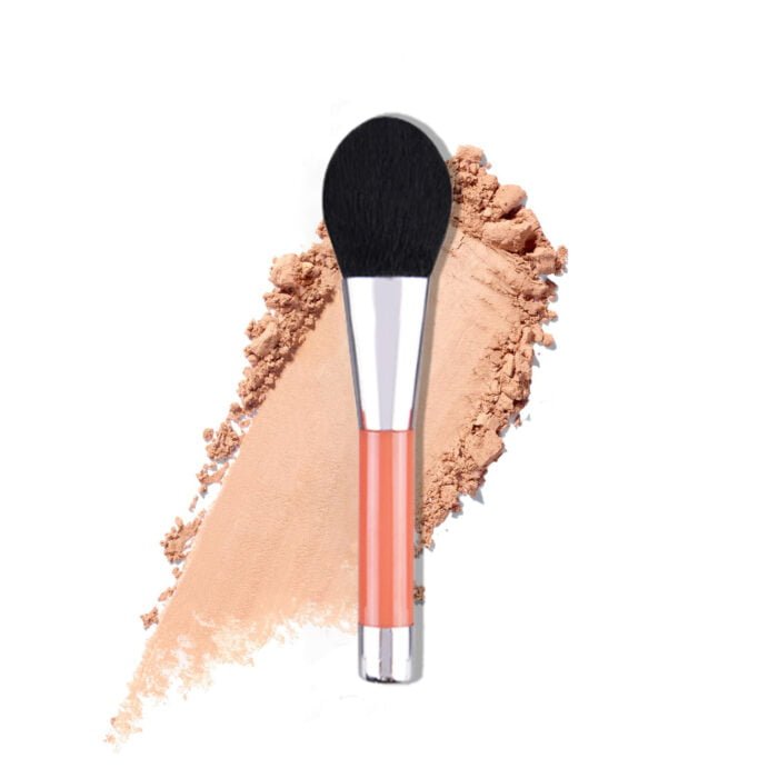 6 mini short pole makeup brushes