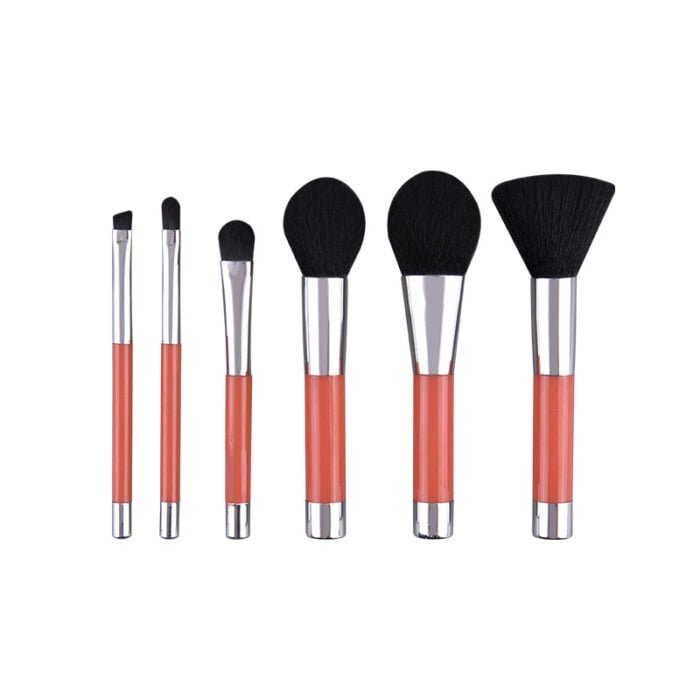 6 mini short pole makeup brushes