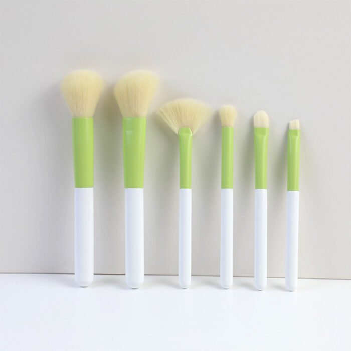 Portable 6 makeup brush set