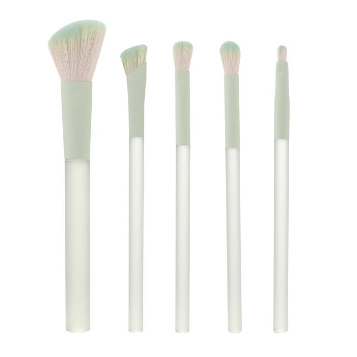 5pcs Simple Portable Makeup Brushes