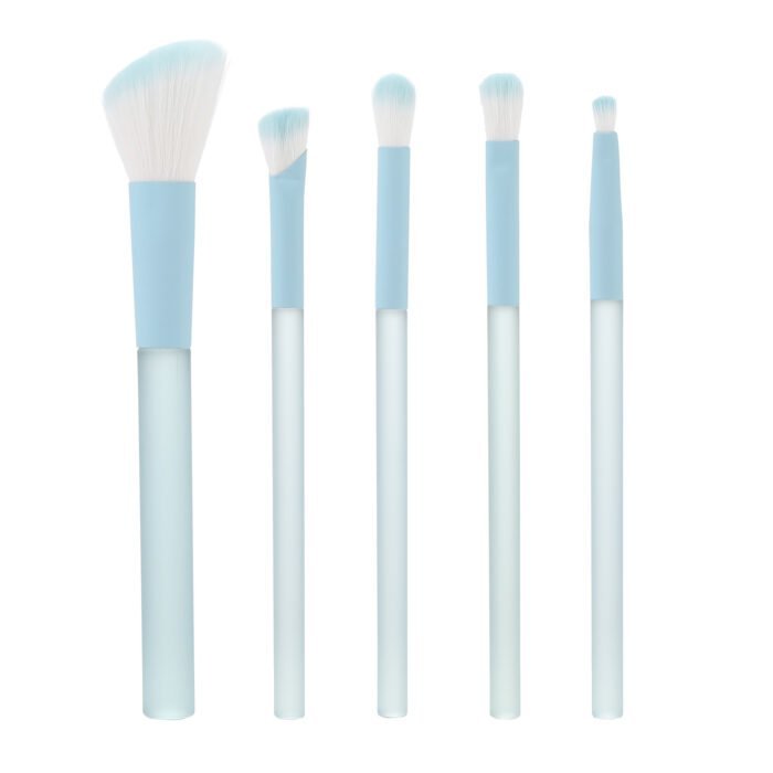 5pcs Simple Portable Makeup Brushes